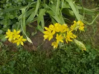 DSCN1556.webp