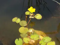 DSCN1442.webp