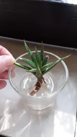 20190820_104110.jpg