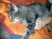 PIC_0959.webp