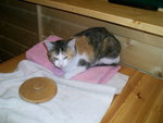 PIC_0963.JPG