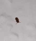 20190821_203943.jpg
