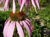 18_08_2019 (14).webp
