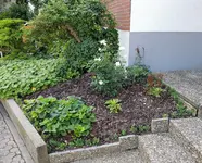 20190821_124607_resized.jpg