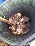 20190807_201055.jpg