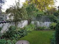 20190822_074110_resized.jpg