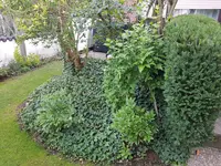 20190822_074206_resized.jpg