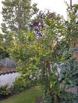 20190822_074238_resized.jpg