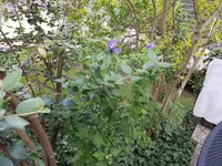 20190822_074351_resized.jpg