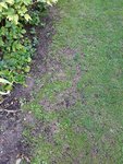20190822_074528_resized.jpg
