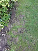 20190822_074528_resized.jpg