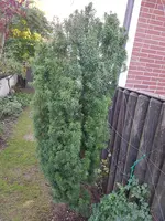 20190822_074613_resized.webp