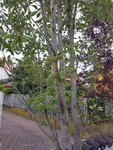 20190822_074627_resized.jpg