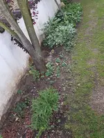 20190822_074718_resized.webp
