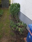 20190822_074722_resized.jpg
