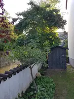 20190822_074735_resized.webp