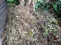 20190822_074803_resized.webp