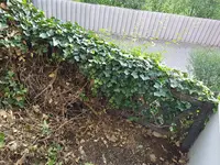 20190822_074806_resized.webp