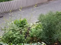 20190822_074814_resized.webp
