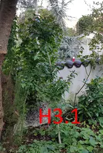20190822_074106_resized.webp