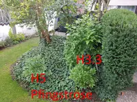 20190822_074206_resized.webp