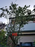 20190822_074231_resized.webp