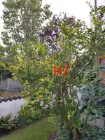 20190822_074238_resized.webp