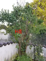 20190822_074411_resized.webp