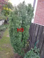 20190822_074613_resized.webp