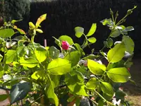 IMG_20190822_102612729.webp