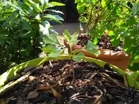 IMG_20190822_101908718.webp