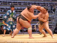 Sumo.webp