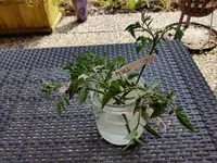 20190822_160502.webp