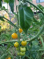 20190822_193636.webp
