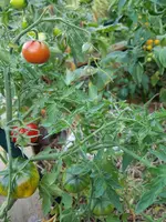 20190822_193659.webp