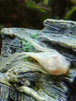 20190823_002717_HDR.webp