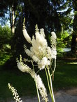 P1100244.JPG