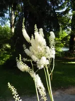P1100244.webp