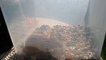 20190823_092844.jpg