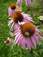 22_08_2019 (41).webp