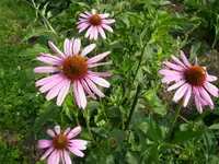 22_08_2019 (63).webp
