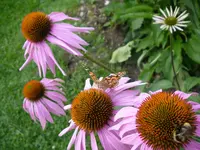 22_08_2019 (72).webp