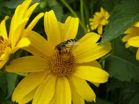 10_08_2019_1 (4).webp