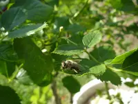 03_07_2019 (11).webp