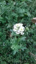 IMG-20190823-WA0001.jpg