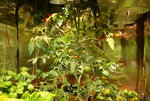 DSC00562.JPG