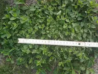 IMG_20190823_190319.webp