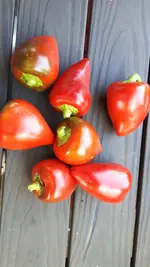 20190824_163810.webp