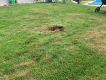 IMG_0790.jpg