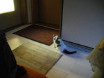 IMGP8092.JPG